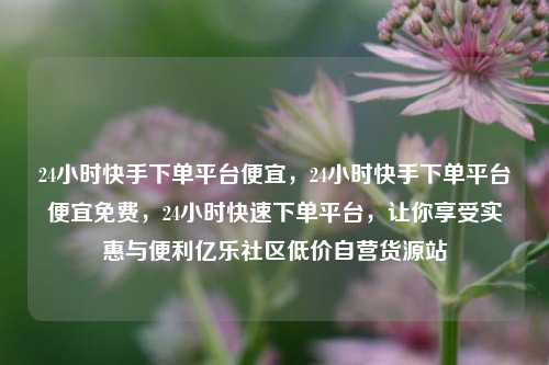 24小时快手下单平台便宜	，24小时快手下单平台便宜免费，24小时快速下单平台，让你享受实惠与便利亿乐社区低价自营货源站  第1张