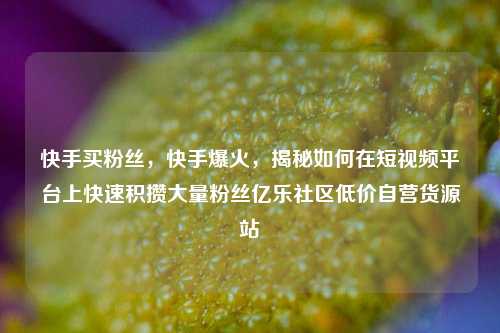 快手买粉丝，快手爆火	，揭秘如何在短视频平台上快速积攒大量粉丝亿乐社区低价自营货源站  第1张